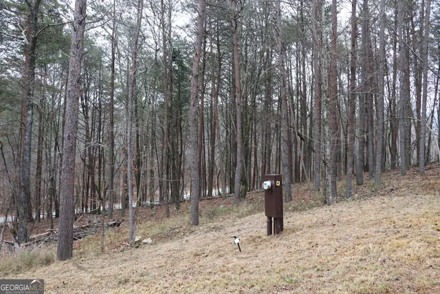 $175,000 | 1217 Henderson Circle, Lyerly, GA 30730