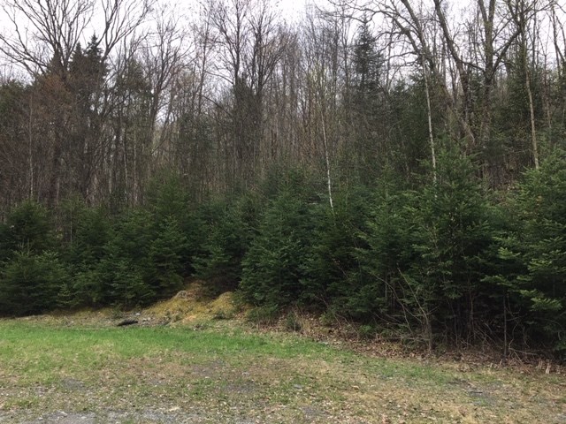 Daniel Beard Road, Unit 4245 Pittsburg, NH 03592 - Photo 2 of 3 Gallery Image 2