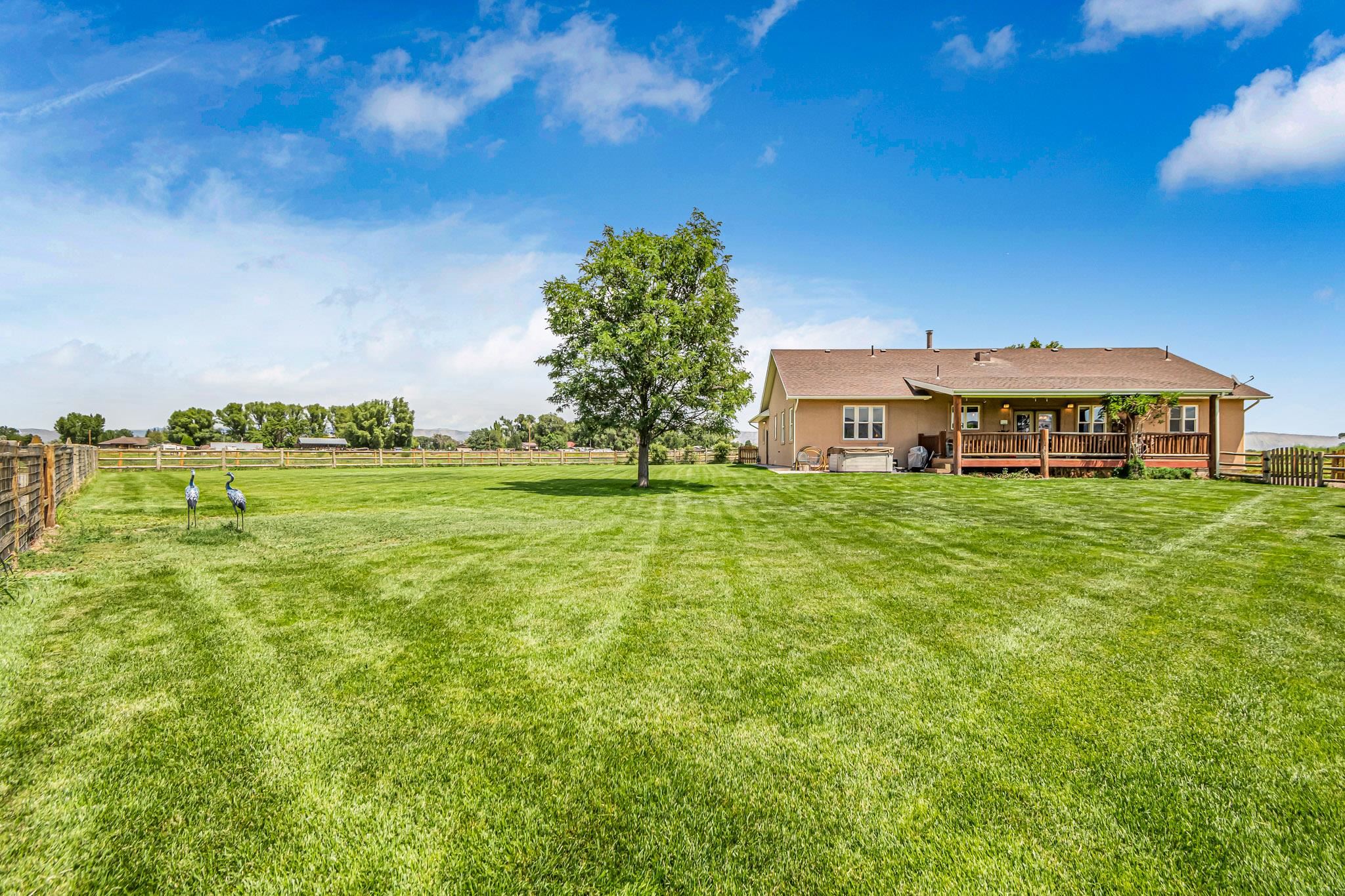 985-20 20 1/2 Road Fruita, CO 81521 - Photo 12 of 42