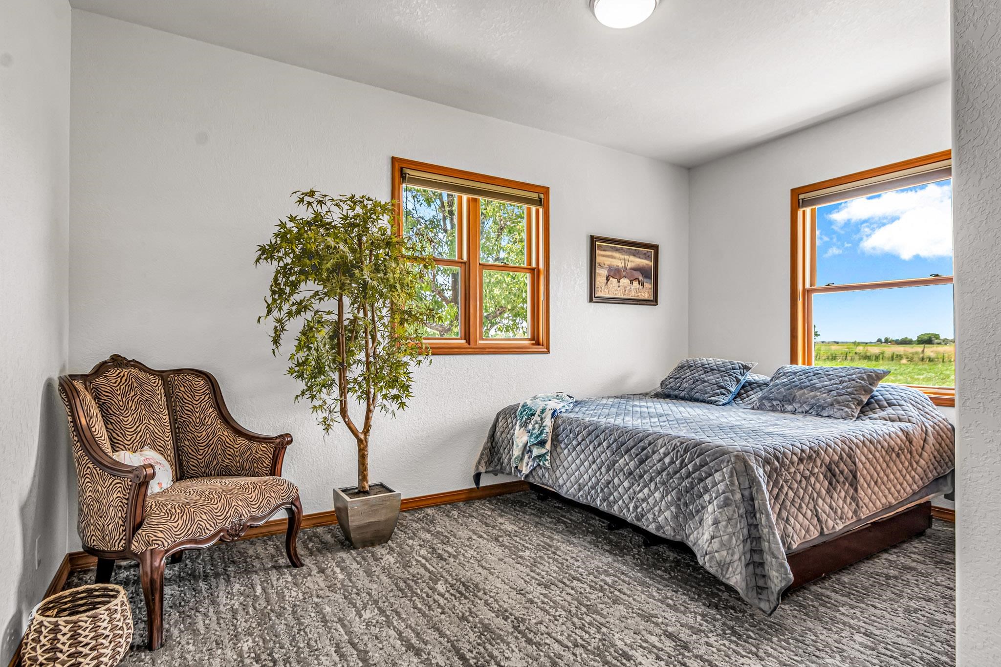 985-20 20 1/2 Road Fruita, CO 81521 - Photo 28 of 42 a bedroom with a bed and a chair