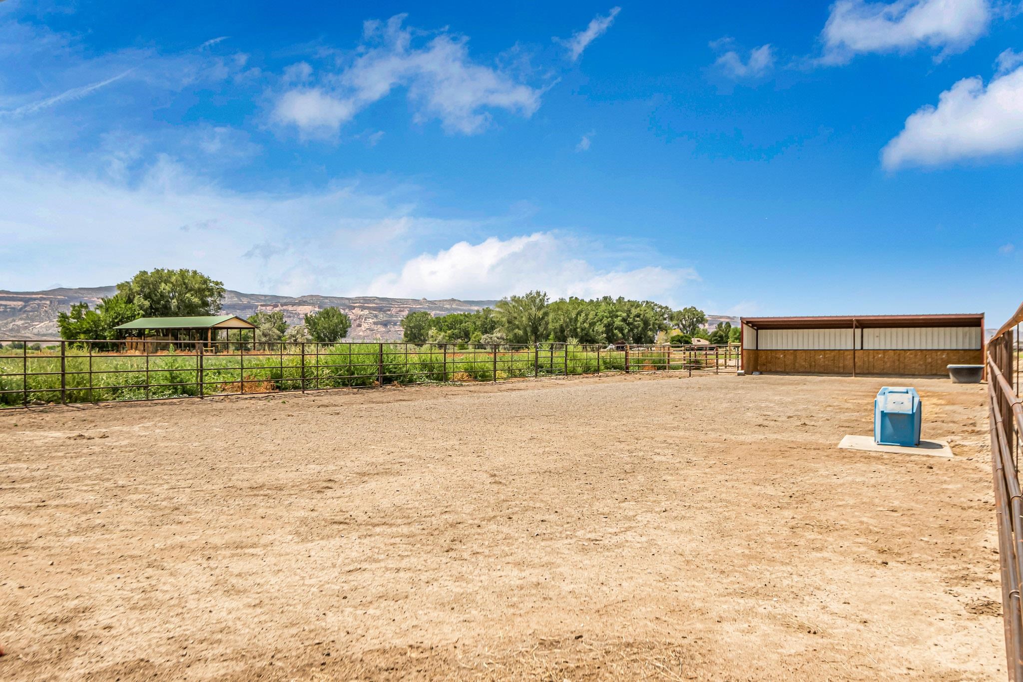 985-20 20 1/2 Road Fruita, CO 81521 - Photo 40 of 42 a view of a terrace