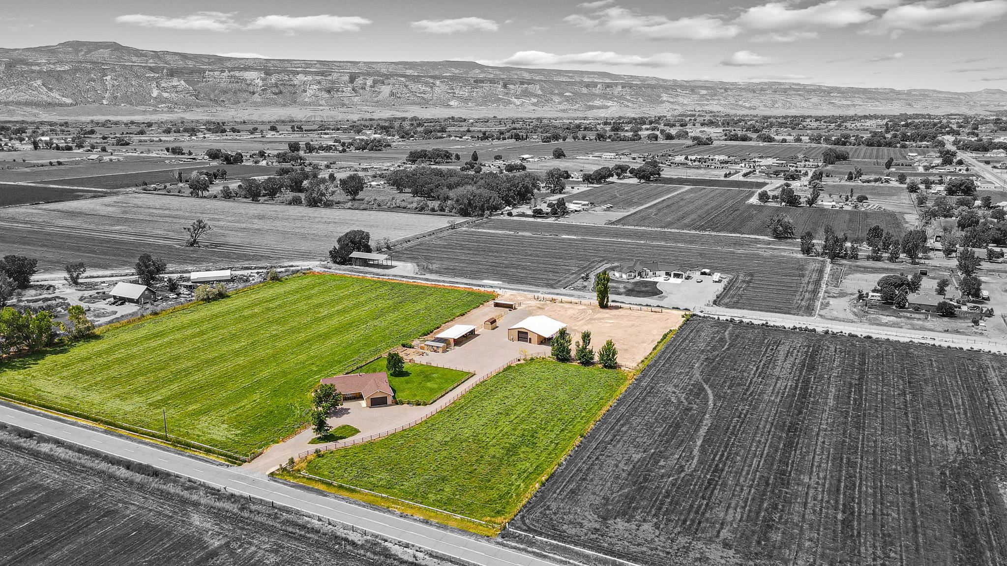 985-20 20 1/2 Road Fruita, CO 81521 - Photo 4 of 42