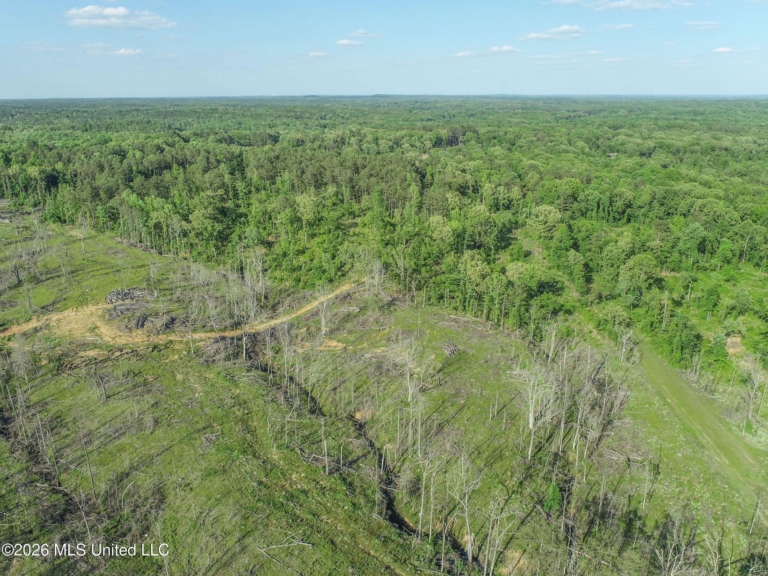 Wayne Massie Road Como, MS 38619 - Photo 41 of 184 3ctwmrd26
