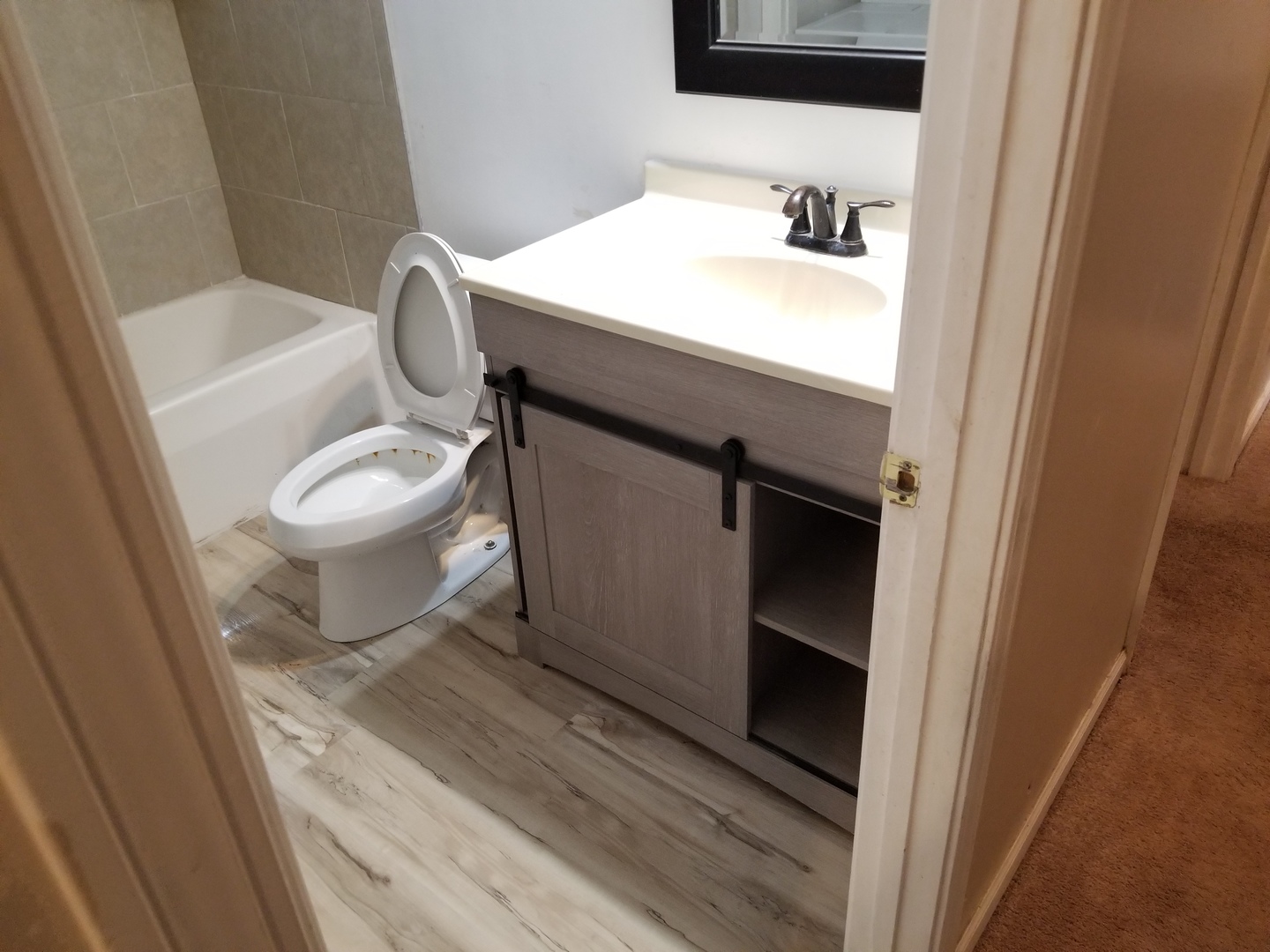 39477 North Hickory Avenue Antioch, IL 60002 - Photo 24 of 25 a bathroom with a sink a toilet and a mirror