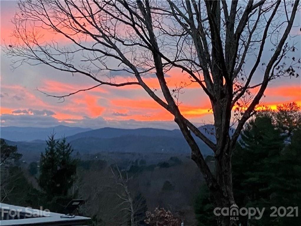 616 Windsor Road Asheville, NC 28804 - Photo 3 of 44 Gallery Image 3