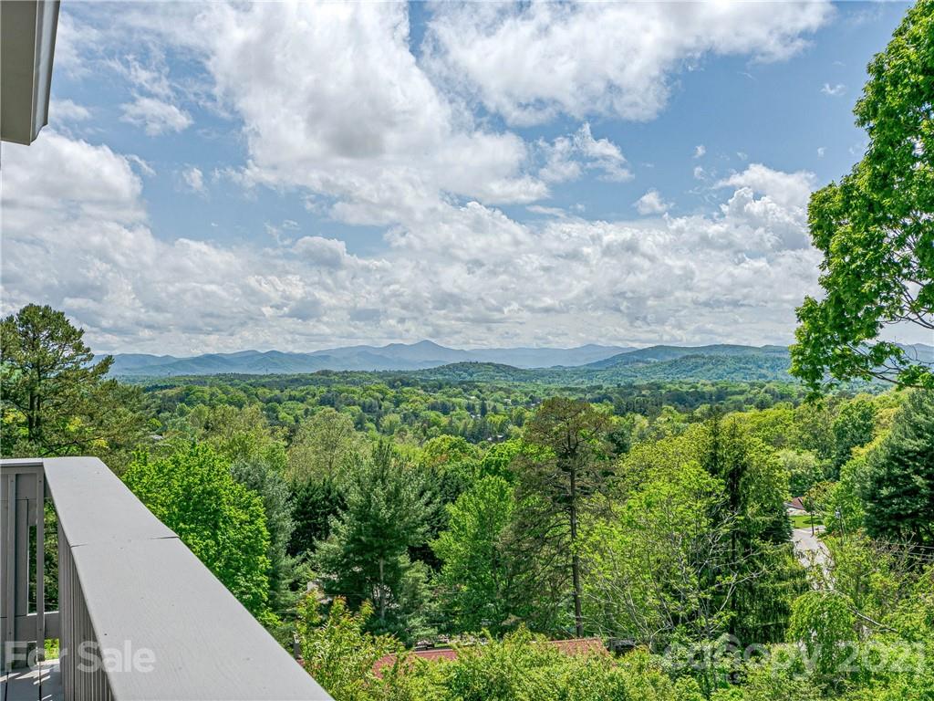616 Windsor Road Asheville, NC 28804 - Photo 37 of 44 Gallery Image 37