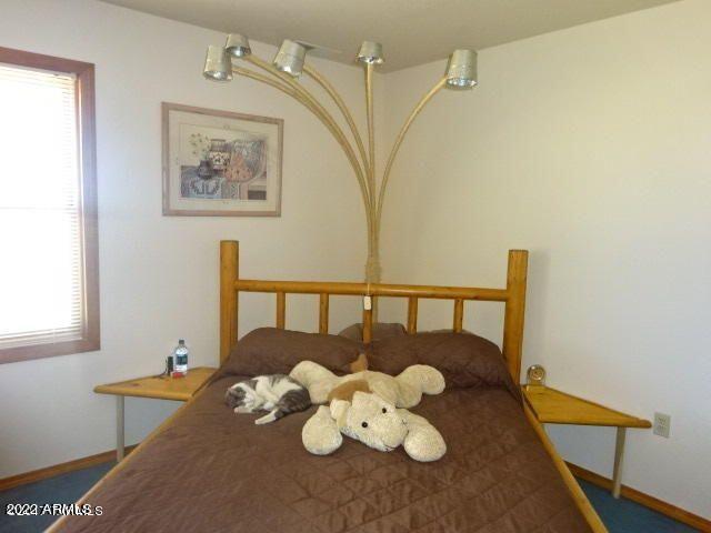 3739 North Golden Rule Road Cochise, AZ 85606 - Photo 10 of 41 20220218183047884659000000-o