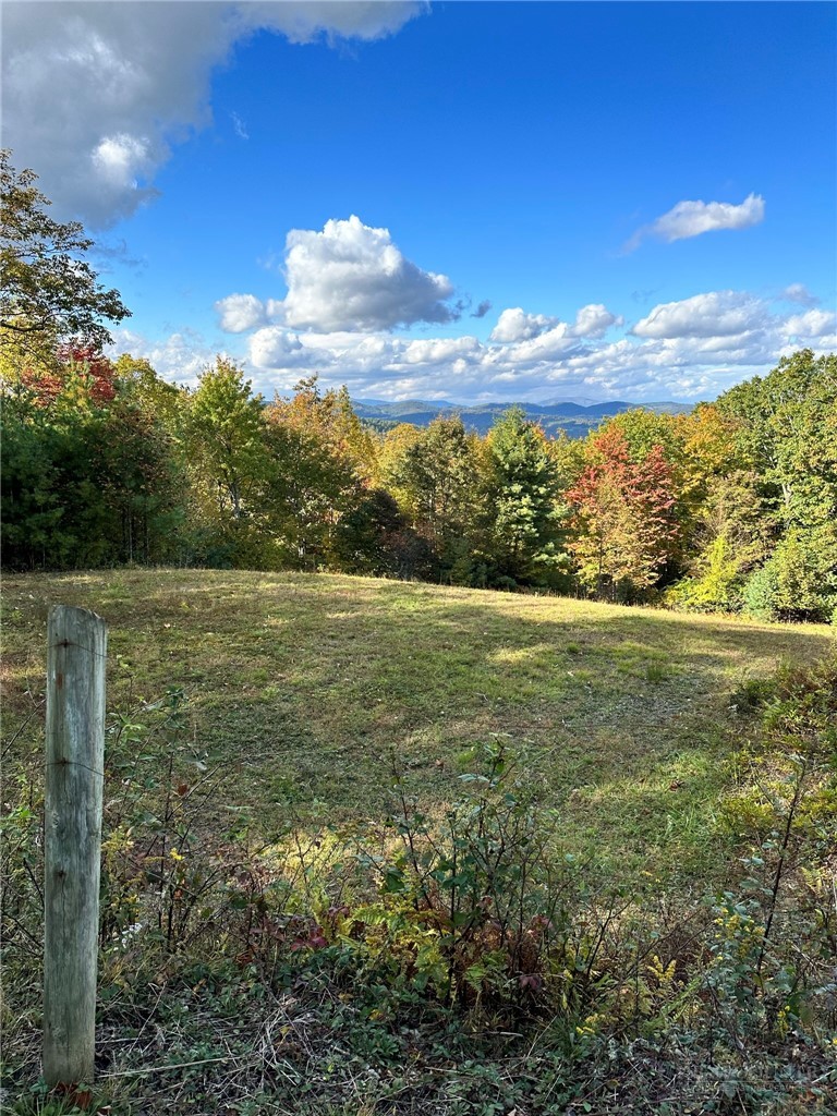 718 Green Mountain Road Sparta, NC 28675 - Photo 28 of 30