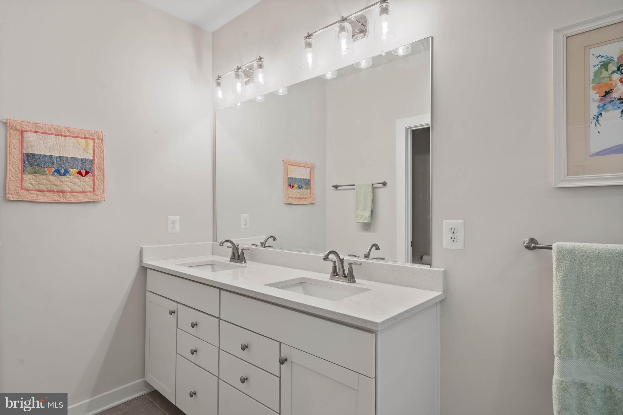 18573 Emerson Way Georgetown, DE 19947 - Photo 21 of 51 Primary Bathroom