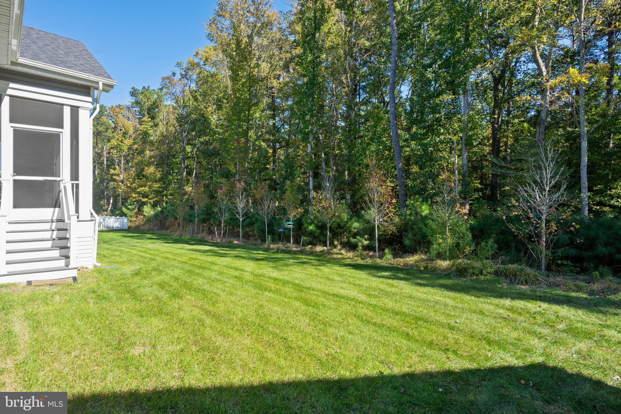18573 Emerson Way Georgetown, DE 19947 - Photo 38 of 51 Protected Forest (No Backyard Neighbors)