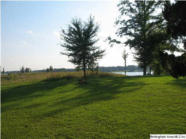 Turner Road, Unit 1 Pell City, AL 35128 - Photo 3 of 7