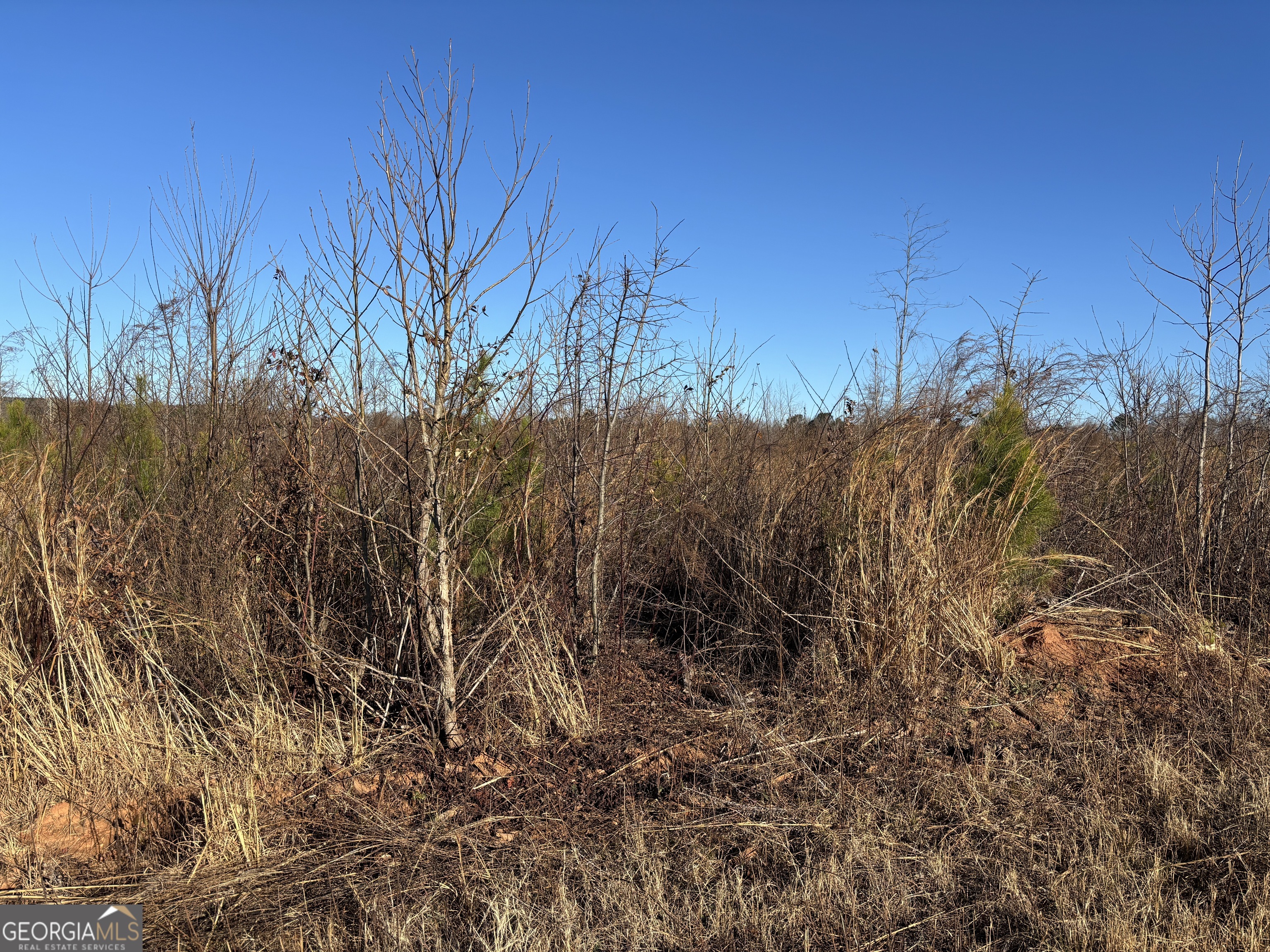 0 83 Connector Monroe, GA 30655 - Photo 3 of 10 a view of a dry yard