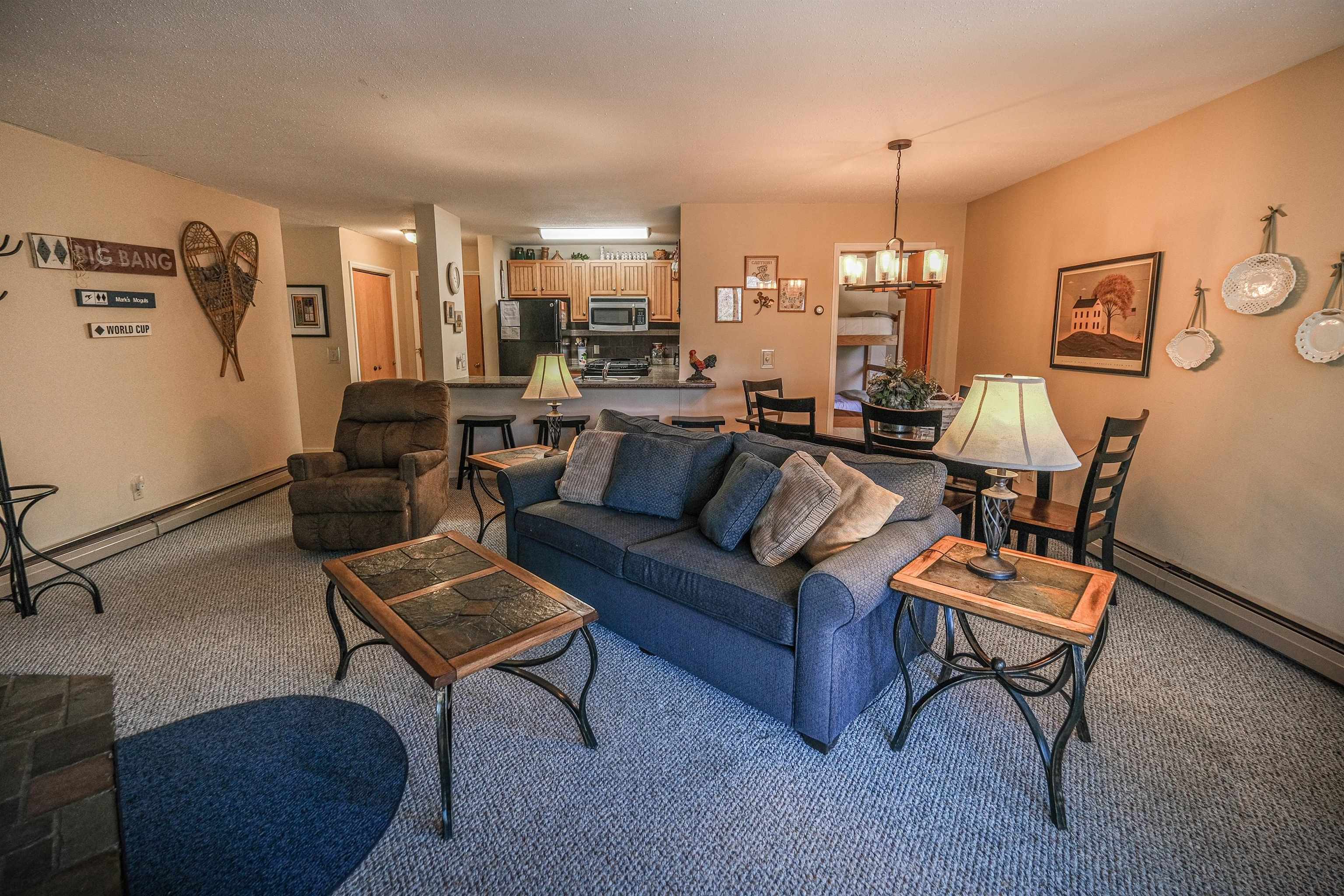 32 Highway 103, Unit D4 Ludlow, VT 05149 - Photo 3 of 47