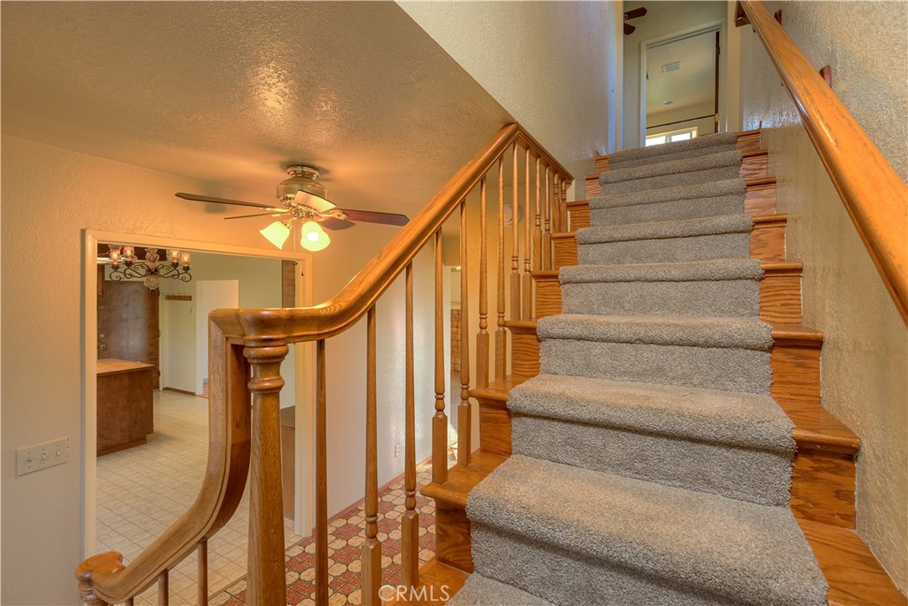 217 Craft Paradise, CA 95969 - Photo 17 of 62