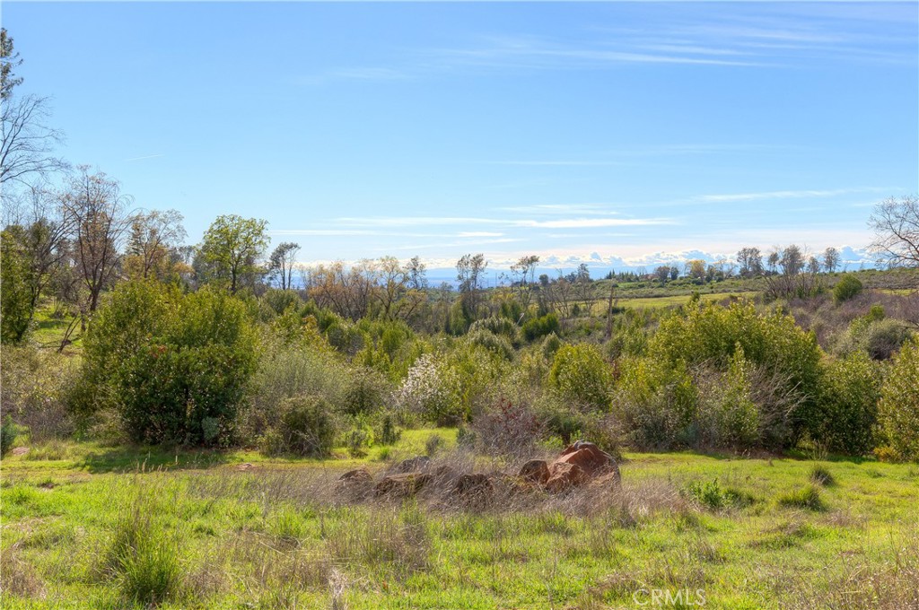 217 Craft Paradise, CA 95969 - Photo 43 of 62 a view of a field with trees in the background
