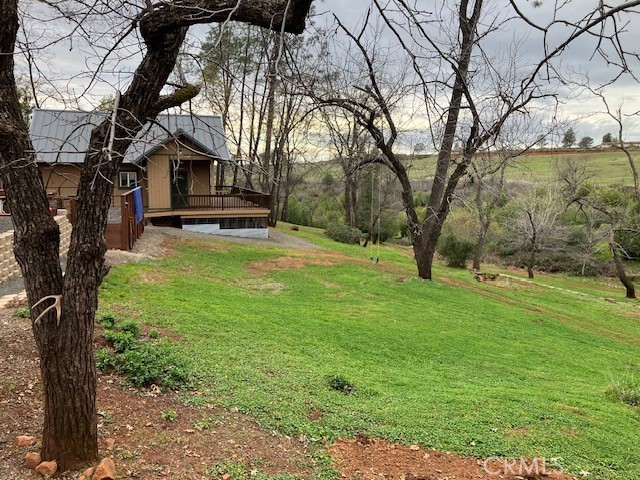 217 Craft Paradise, CA 95969 - Photo 55 of 62 a view of a backyard with large trees