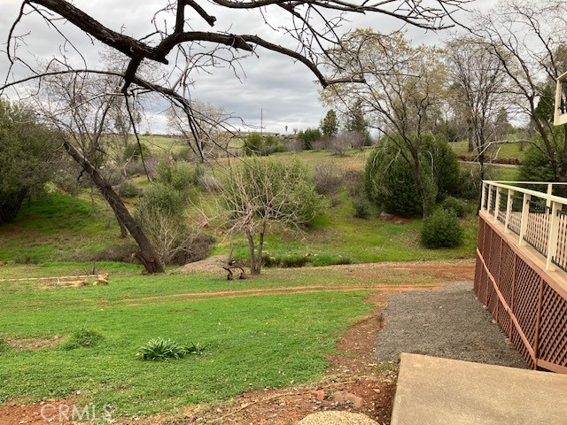 217 Craft Paradise, CA 95969 - Photo 58 of 62 a view of a backyard
