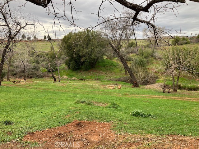 217 Craft Paradise, CA 95969 - Photo 62 of 62 a backyard of a house with lots of green space