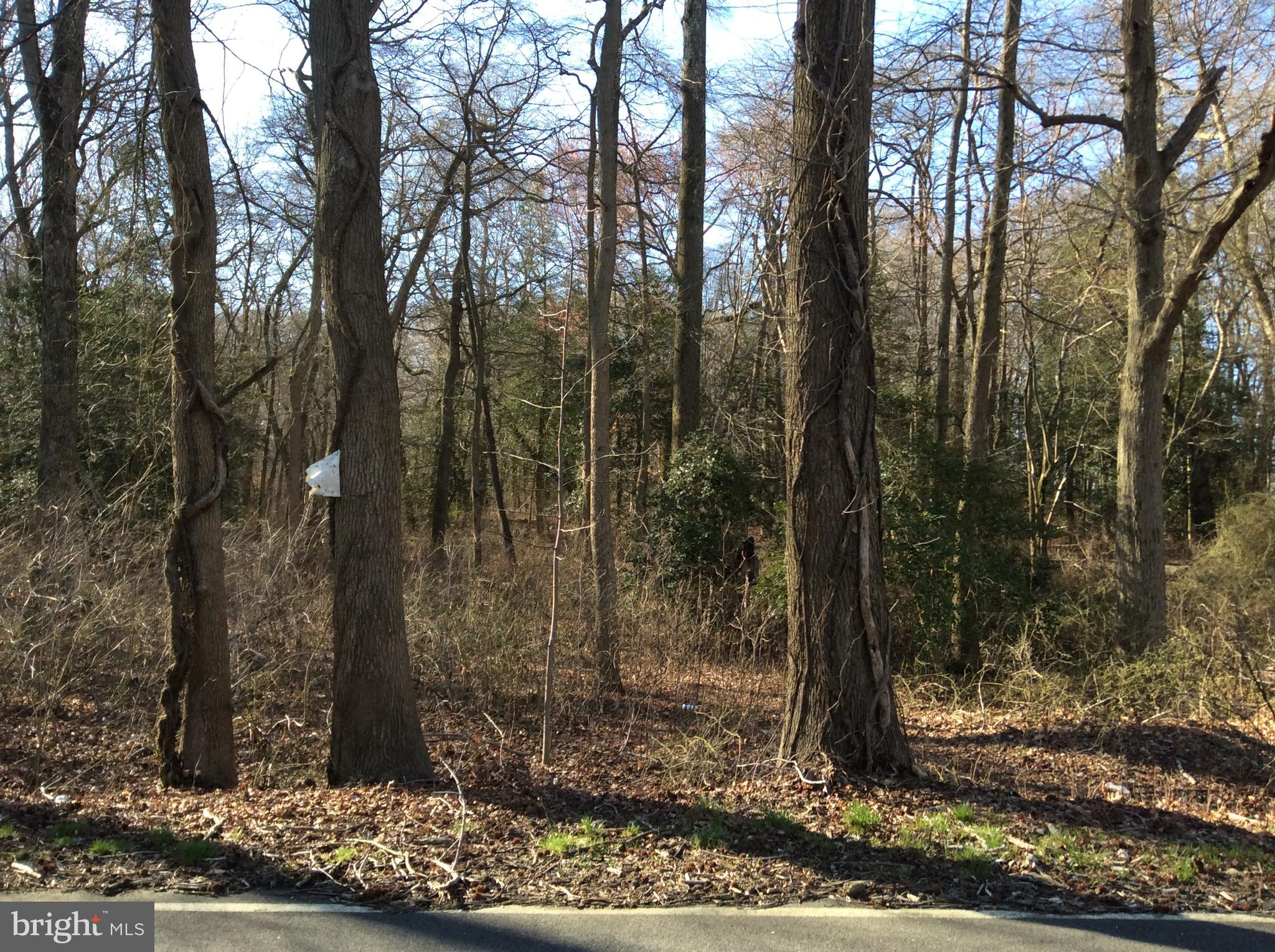 L11 Cedar Grove Road Mullica Hill, NJ 08062 - Photo 4 of 6 Gallery Image 4