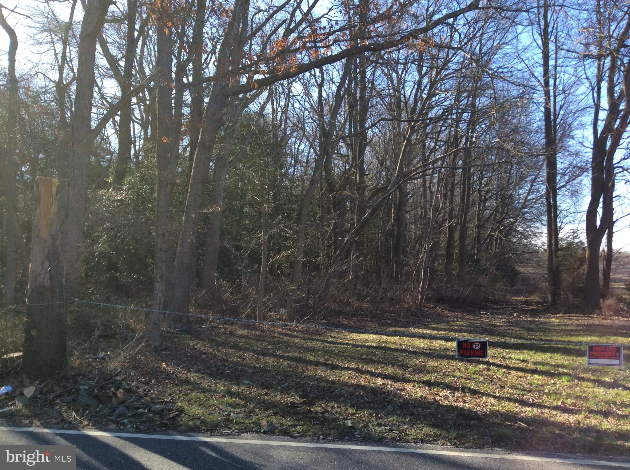 L11 Cedar Grove Road Mullica Hill, NJ 08062 - Photo 5 of 6 Gallery Image 5