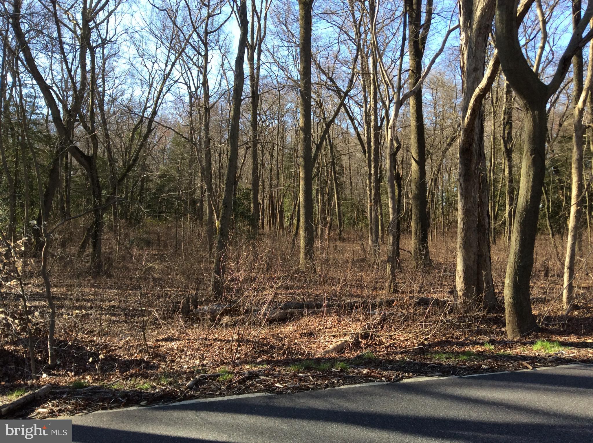 L11 Cedar Grove Road Mullica Hill, NJ 08062 - Photo 6 of 6 Gallery Image 6