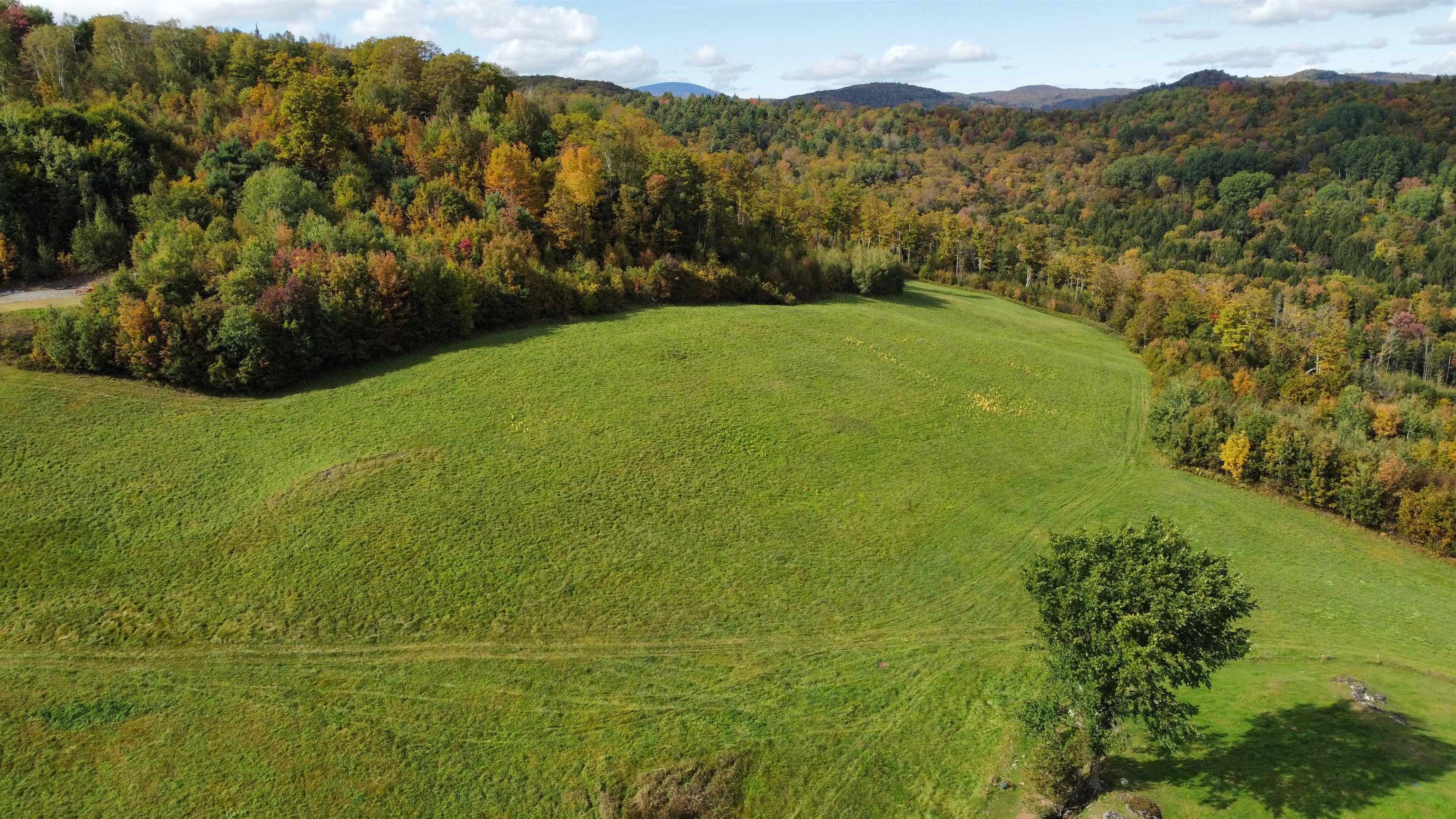 0 Welchs Road Topsham, VT 05076 - Photo 11 of 11