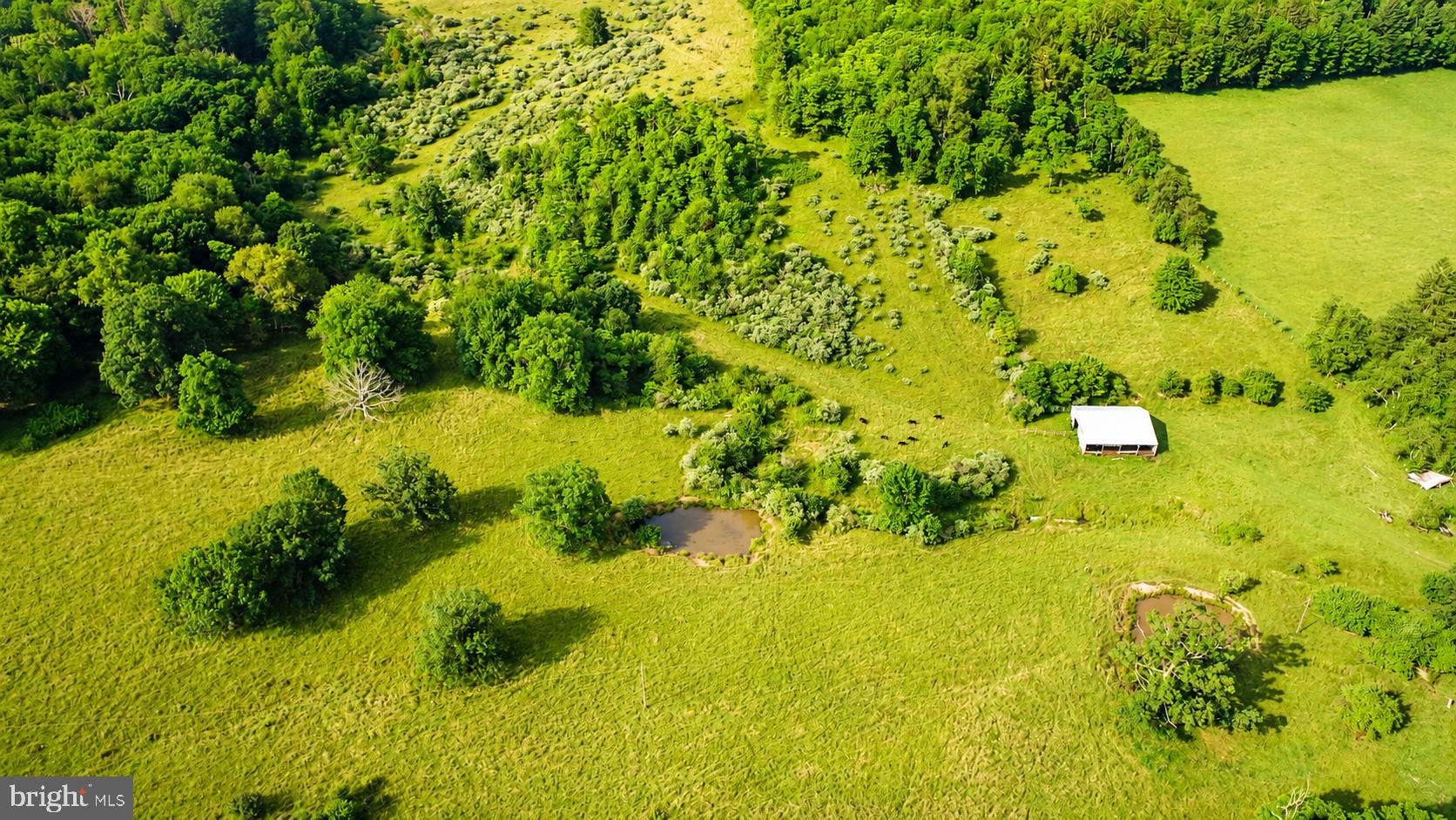97-acres Lot C 97-acres Road Oakland, MD 21550 - Photo 3 of 21