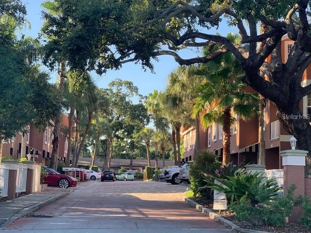 a street view with large trees