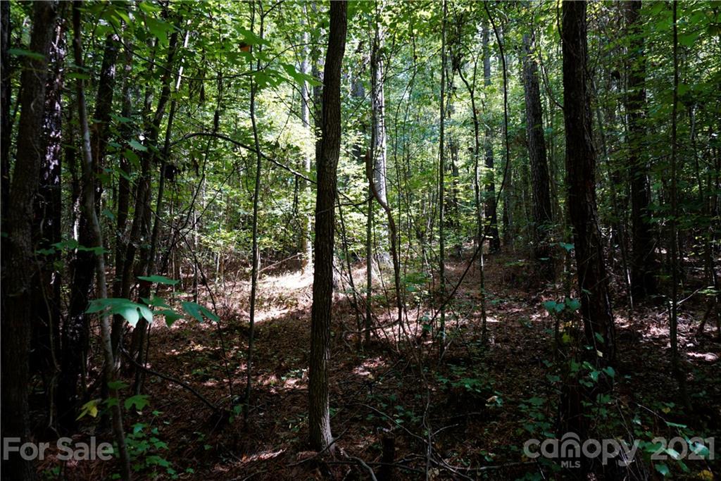 161 Dobys Bridge Road Fort Mill, SC 29715 - Photo 13 of 33 a view of outdoor space and garden