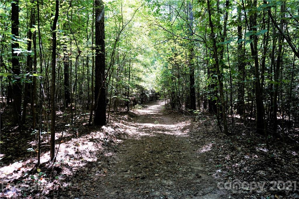 161 Dobys Bridge Road Fort Mill, SC 29715 - Photo 14 of 33 a view of outdoor space and trees