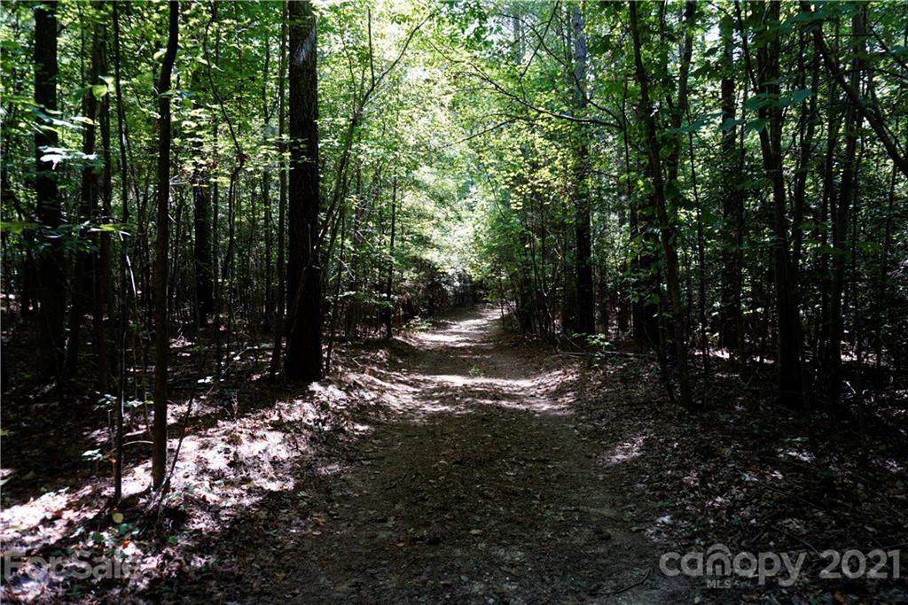 161 Dobys Bridge Road Fort Mill, SC 29715 - Photo 15 of 33 a backyard of a house with lots of green space