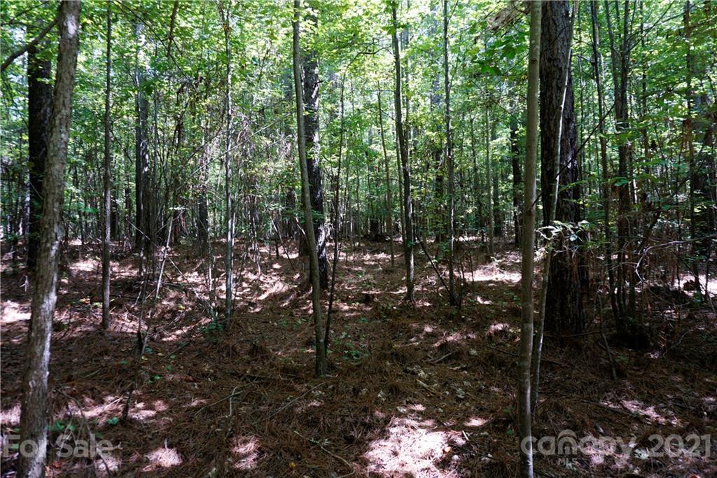 161 Dobys Bridge Road Fort Mill, SC 29715 - Photo 16 of 33 a view of outdoor space and trees