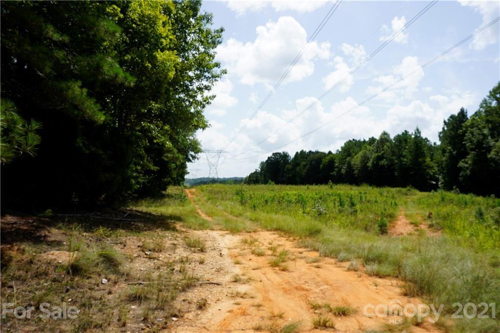 161 Dobys Bridge Road Fort Mill, SC 29715 - Photo 17 of 33 a view of yard with green space