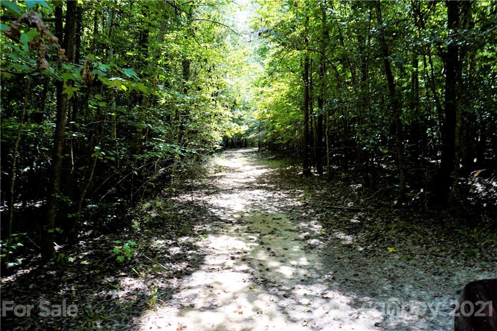 161 Dobys Bridge Road Fort Mill, SC 29715 - Photo 19 of 33 a view of a street with lots of trees