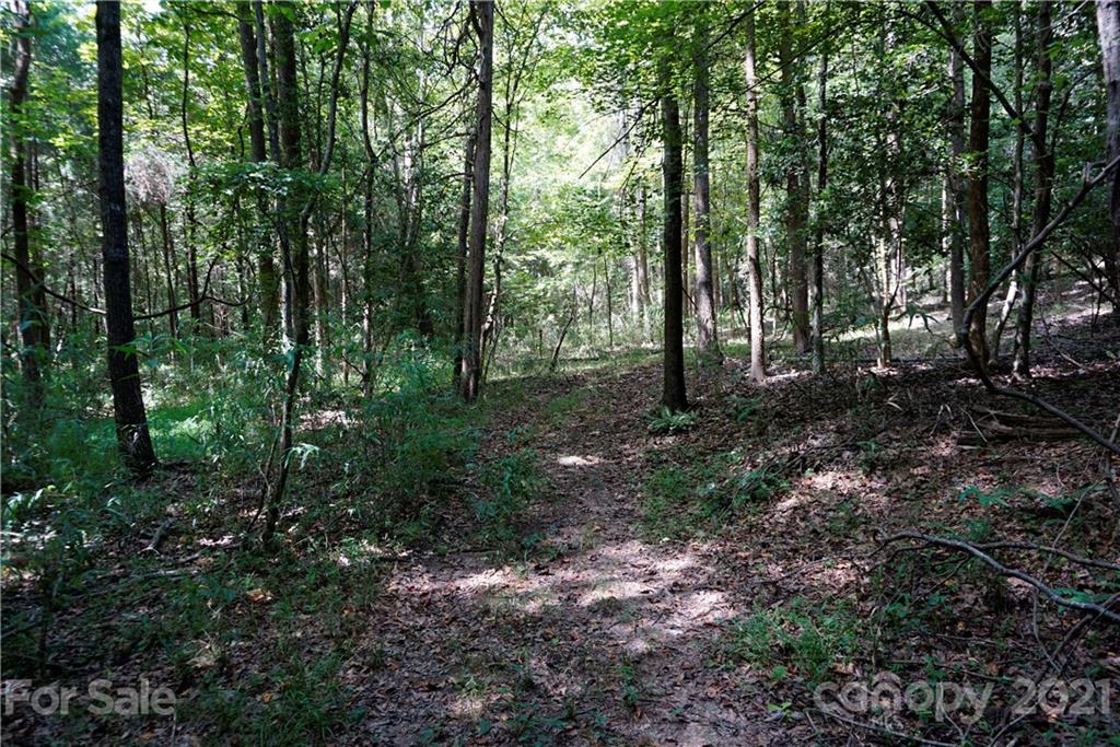 161 Dobys Bridge Road Fort Mill, SC 29715 - Photo 22 of 33 a view of a forest that has large trees