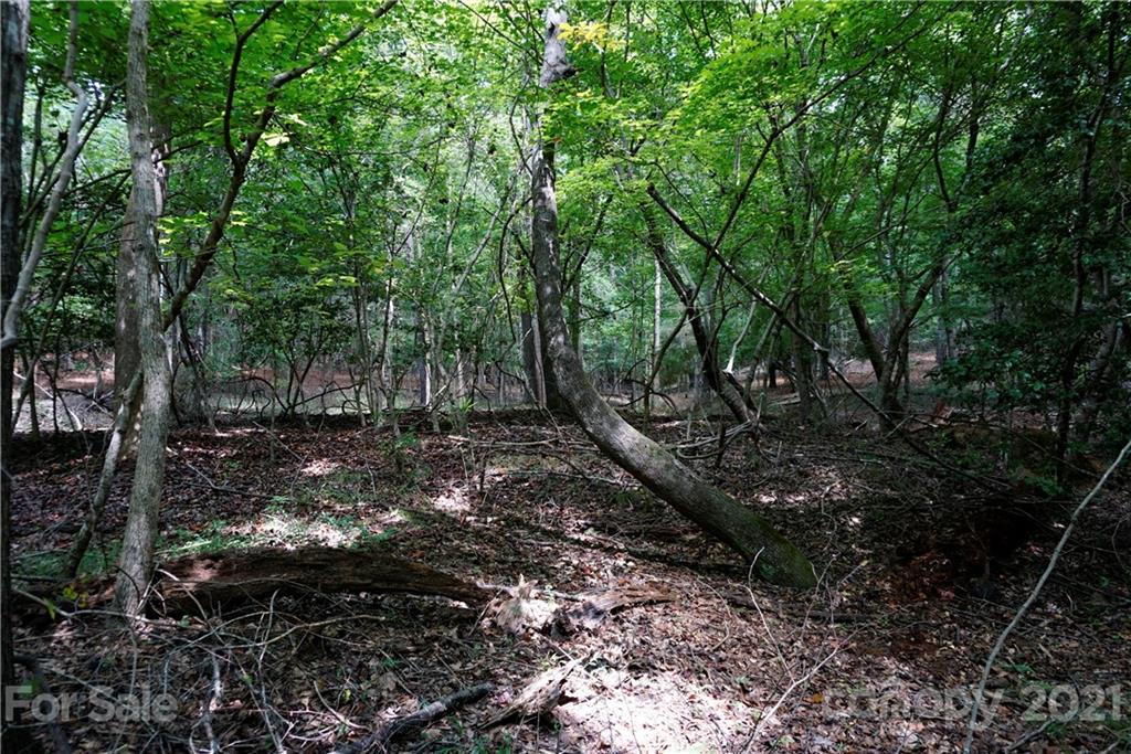 161 Dobys Bridge Road Fort Mill, SC 29715 - Photo 23 of 33 a view of tree