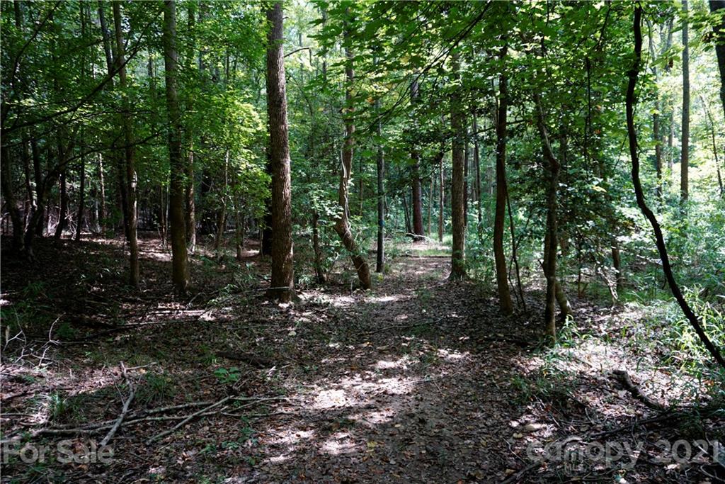 161 Dobys Bridge Road Fort Mill, SC 29715 - Photo 24 of 33 a view of outdoor space and trees