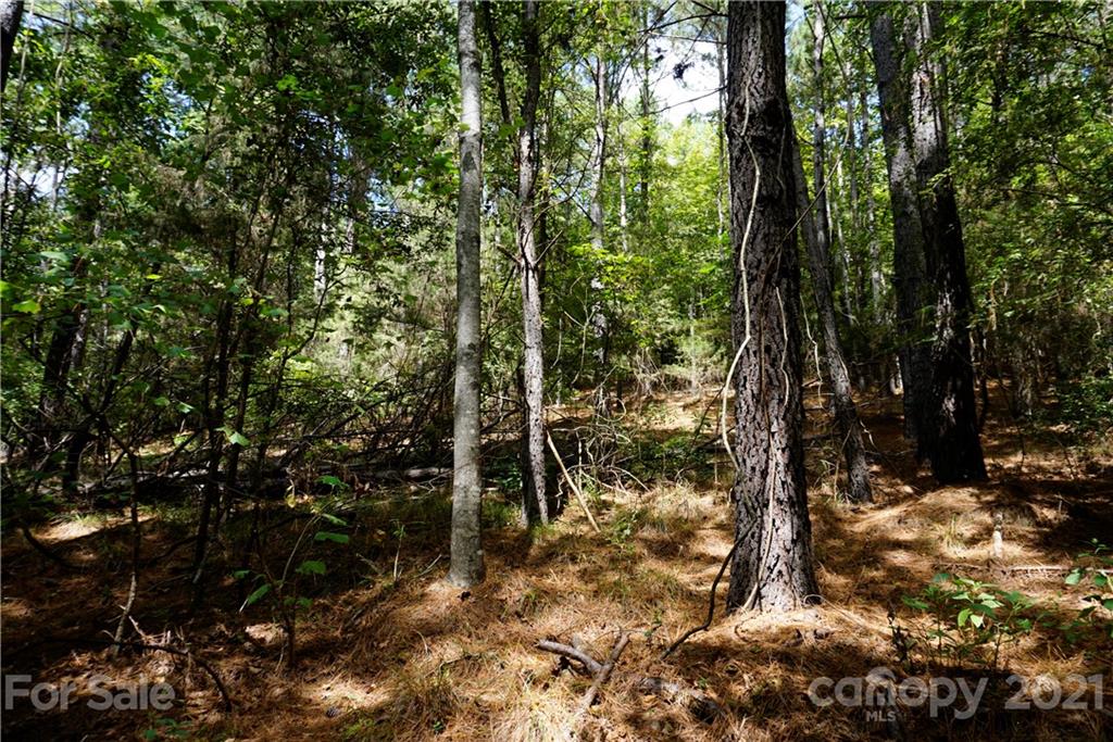 161 Dobys Bridge Road Fort Mill, SC 29715 - Photo 26 of 33