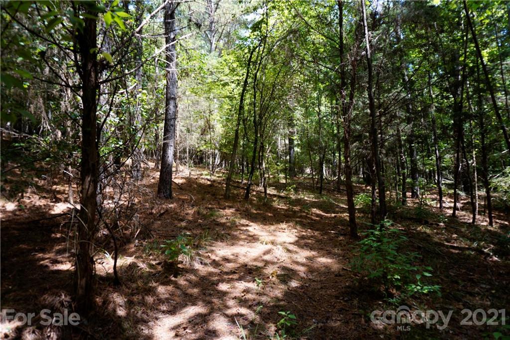 161 Dobys Bridge Road Fort Mill, SC 29715 - Photo 27 of 33 a view of outdoor space and trees