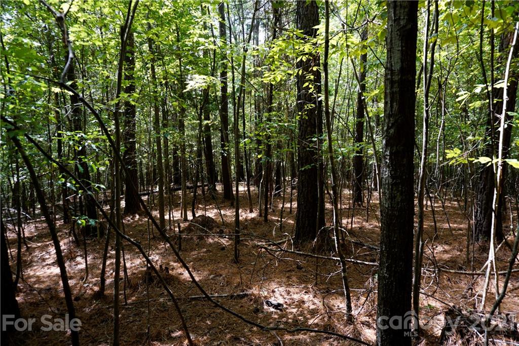161 Dobys Bridge Road Fort Mill, SC 29715 - Photo 29 of 33 a view of yard