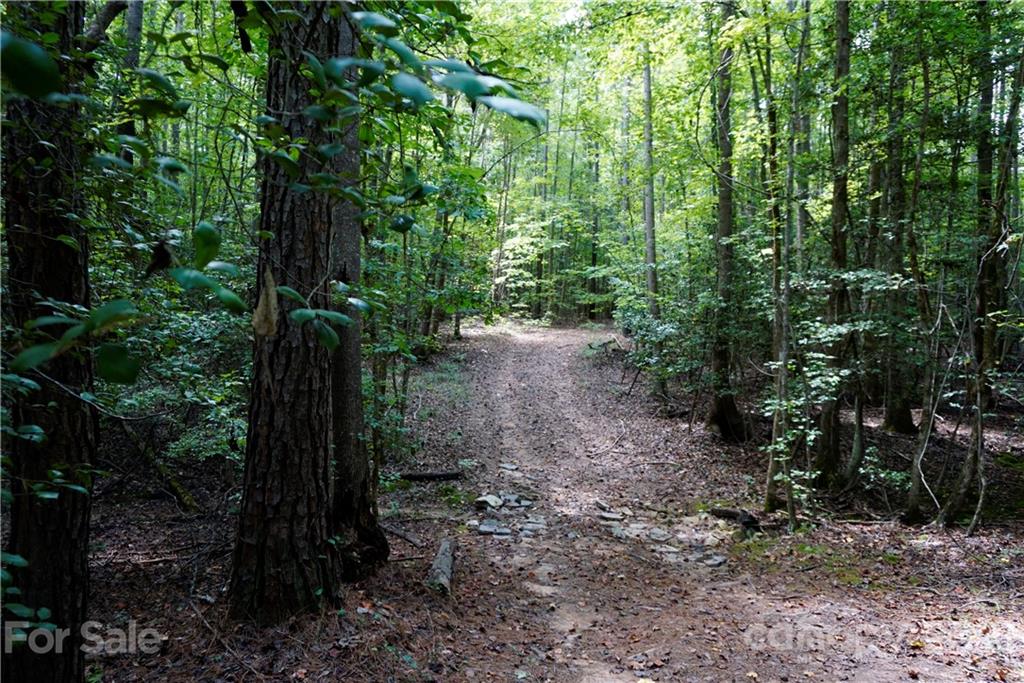 161 Dobys Bridge Road Fort Mill, SC 29715 - Photo 7 of 33 a view of a forest with trees