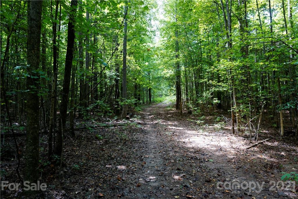 161 Dobys Bridge Road Fort Mill, SC 29715 - Photo 9 of 33 a view of a forest with trees