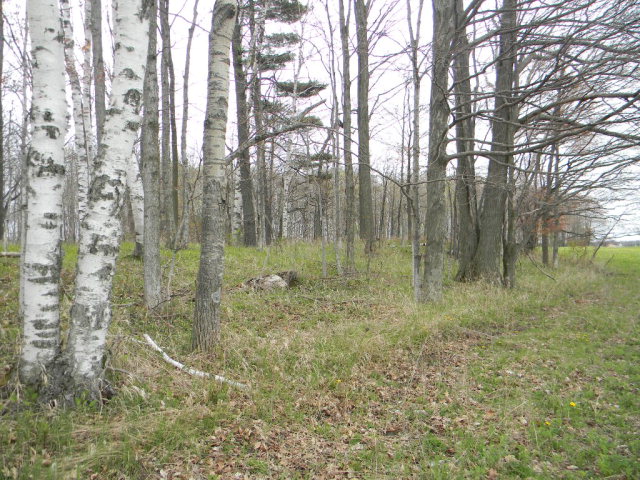 6320 Jorns Road Jacksonport, WI 54209 - Photo 3 of 6