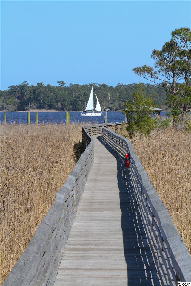 Lot 164 Commanders Island Road Georgetown, SC 29440 - Photo 7 of 21 Gallery Image 7
