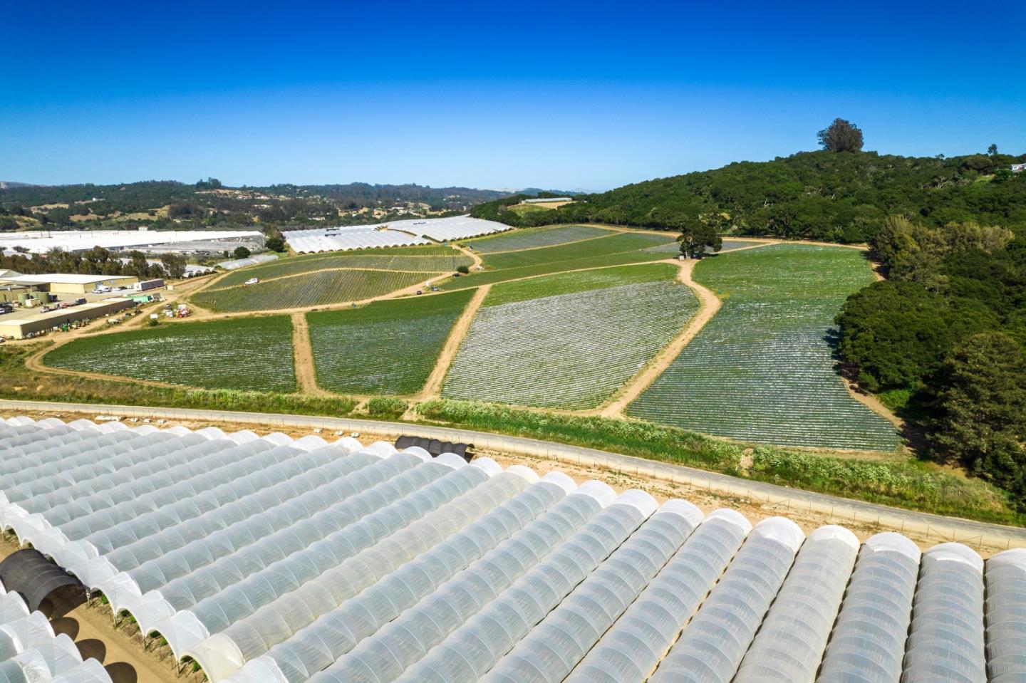 a view of outdoor space and city view