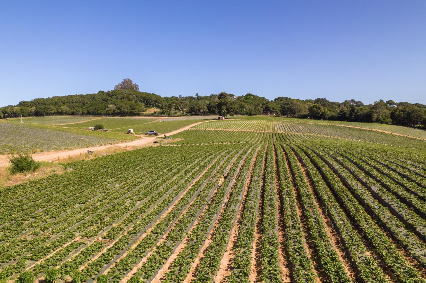 Maher Road Watsonville, CA 95076 - Photo 3 of 20 a view of lake view and mountain view