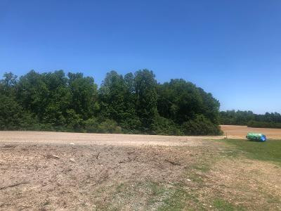 6035 Burlington Road Gibsonville, NC 27249 - Photo 2 of 3 a view of swimming pool with mountain view
