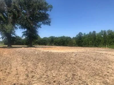 a view of backyard and outdoor space