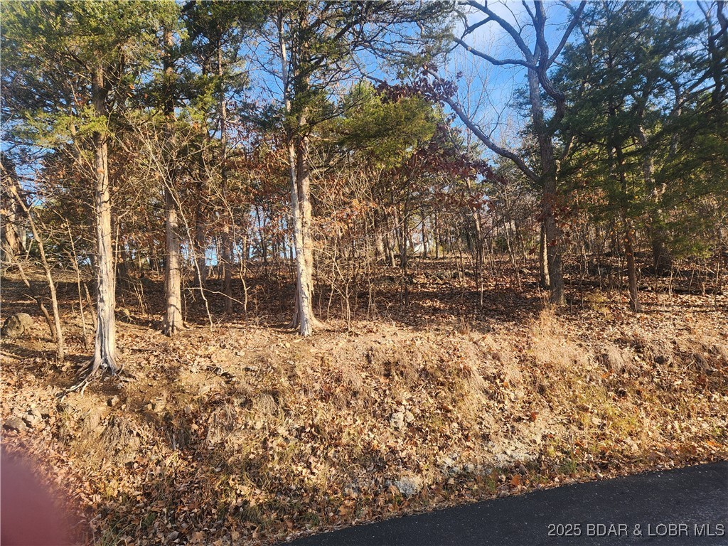 Tbd West End Circle Osage Beach, MO 65065 - Photo 1 of 5 Road view