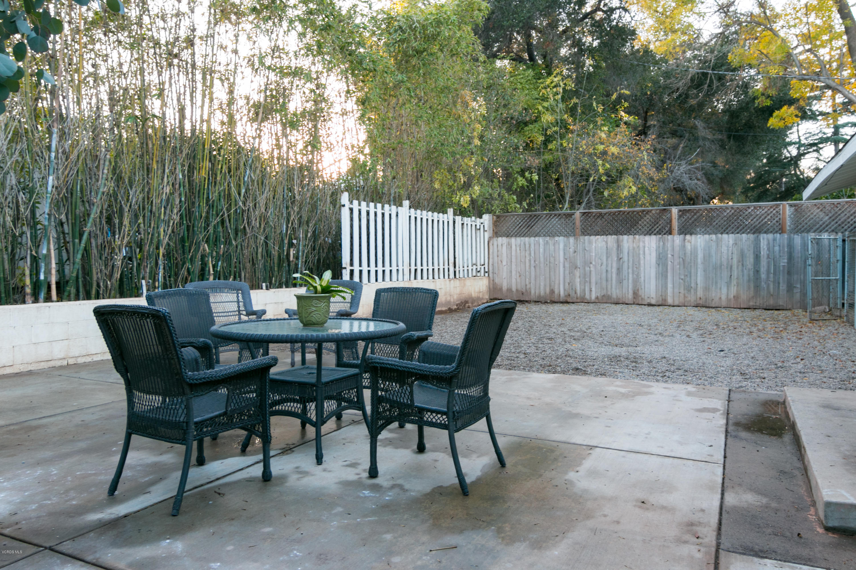1694 South Rice Road Ojai, CA 93023 - Photo 31 of 37 1694 S Rice Rd-print-031-55-Back Yard-41